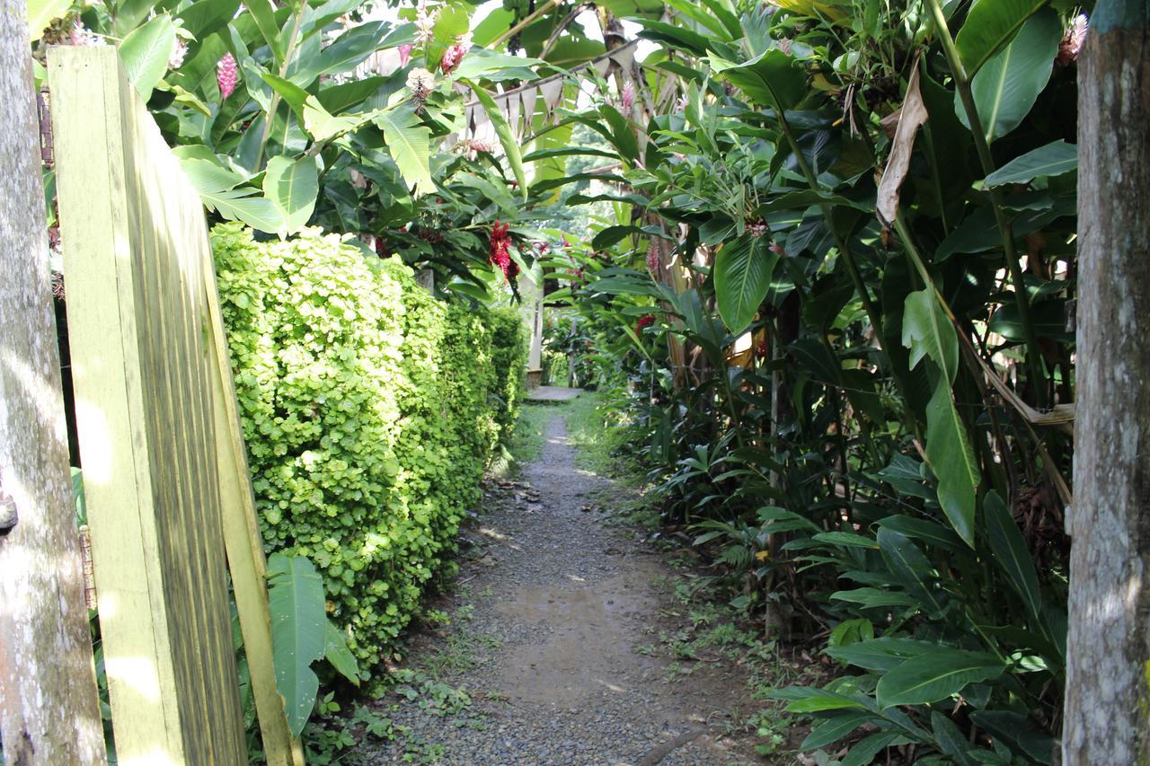 מלון Los Robles Capurganá מראה חיצוני תמונה